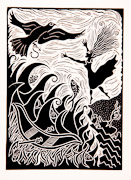 Peregrine 12.5x17.5